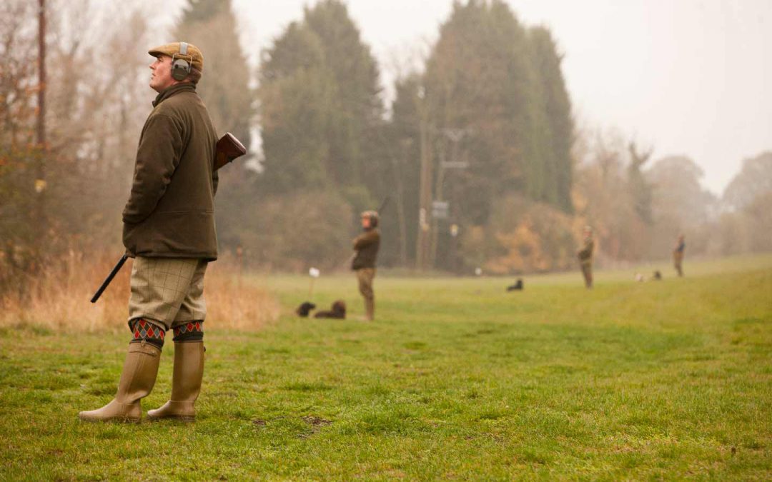 Traditional 200 bird shoot at North Crawley