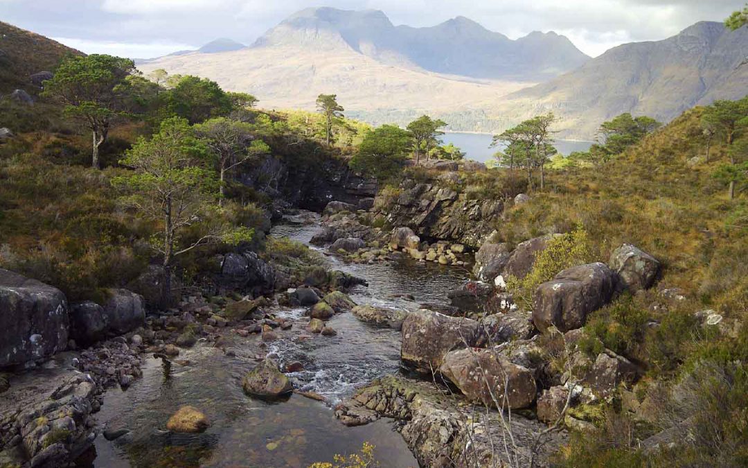 Red deer stalking in the West Coast of Scotland