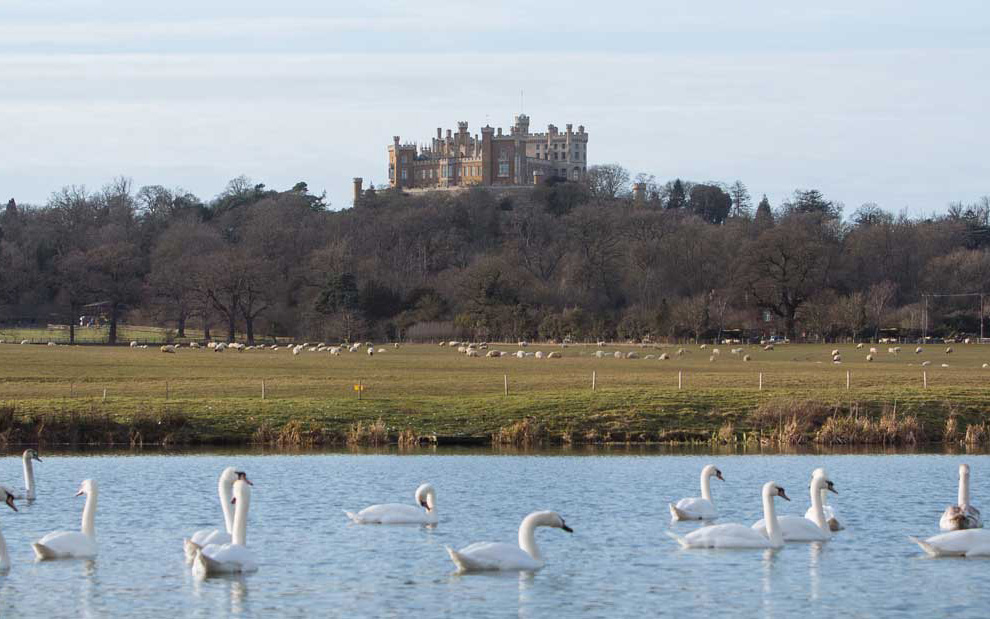 Belvoir Castle Estate Shoot Season