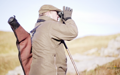 Red deer stalking with Mark